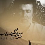 دانلود آهنگ امیر تاجیک به نام در سوگ حبیب / هرکه در دریای بی پایان فتاد همچون ماه در بحر