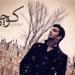 دانلود آهنگ فرزاد فرزین به نام کوچه ها / به هوات هنوزم عاشقونه چه تنها شهرو قدم میزنم