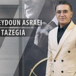 دانلود آهنگ فریدون آسرایی به نام تازگیا / تازگیا دارم عاشقت میشم به کسی تو نگیا