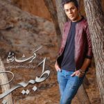 دانلود آهنگ گرشا رضایی به نام طبیب / روی سرم ببار تب داره روزگار