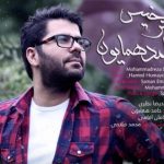 دانلود آهنگ حامد همایون به نام چتر خیس / دستم تو دستِ یاره