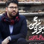 دانلود آهنگ حامد همایون به نام دیوونگی / دیوونه ی چشمای مشکیتم