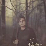دانلود آهنگ حجت اشرف زاده به نام این روزها بدون تو / کوچه جهنم است خیابان جهنم است
