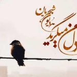 دانلود آهنگ همایون شجریان به نام دل من میگرید / دل من میگرید باز آرام آرام دل من میگرید باز آرام آرام