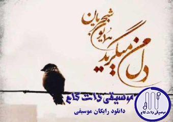 دانلود آهنگ همایون شجریان به نام دل من میگرید / دل من میگرید باز آرام آرام دل من میگرید باز آرام آرام