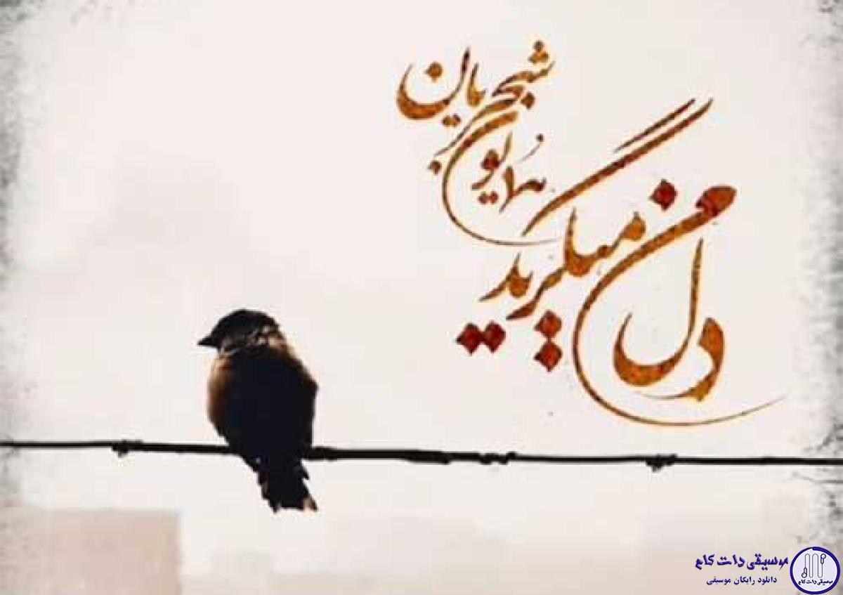 دانلود آهنگ همایون شجریان به نام دل من میگرید / دل من میگرید باز آرام آرام دل من میگرید باز آرام آرام