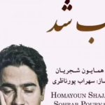 دانلود آهنگ همایون شجریان به نام خوب شد / راه امشب میبرد سویت مرا