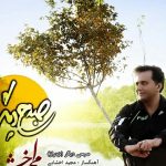 دانلود آهنگ مجید اخشابی به نام صبحی دیگر / آسمان روشن شد ، صبح من روشن تر