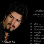 دانلود آهنگ مجید خراطها به نام بگی نگی / بگی نگی این روزا بازم خیلی دلم تنگه برات