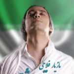 دانلود آهنگ مازیار فلاحی به نام تیم عاشق / تو این لحظه ها گریه ها بی صدا