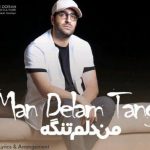 دانلود آهنگ مهدی جهانی به نام من دلم تنگه / دلتنگ چشماتم هیچ وقت انقد تو زندگیم نمیخواستمت