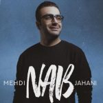 دانلود آهنگ مهدی جهانی به نام ناب / تا منو عاشق نکنی ول نمیکنی حرف داری اما درد و دل نمیکنی