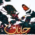 دانلود آهنگ مهدی یغمایی به نام جانان / سرگشته و حیران توام یار کجایی