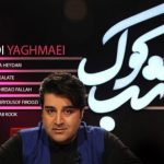 دانلود آهنگ مهدی یغمایی به نام من عاشقت شدم