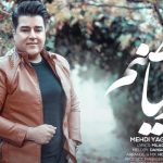 دانلود آهنگ مهدی یغمایی به نام زیبا صنم / تو ای زیبا صنم هوادارت منم کاش بودم عطر رو