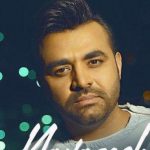 دانلود آهنگ میثم ابراهیمی به نام نوازش / سخته براش دیوونه وار تب کنی اما به جاش با فکرش شب کنی