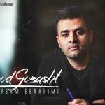 دانلود آهنگ میثم ابراهیمی به نام زود گذشت / یادم نمیره هرچی میره جلو بدتر میشه