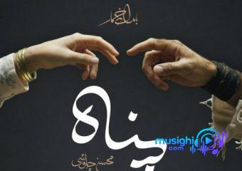 دانلود آهنگ محسن چاوشی به نام پناه / خواب دیدم توی دشت از نعنا