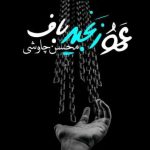 دانلود آهنگ محسن چاوشی به نام عمو زنجیر باف / دیوونه کیه عاقل کیه جونور کامل کیه
