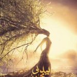 دانلود آهنگ محسن چاوشی به نام بید بی مجنون / من از غل و زنجیر می ترسم