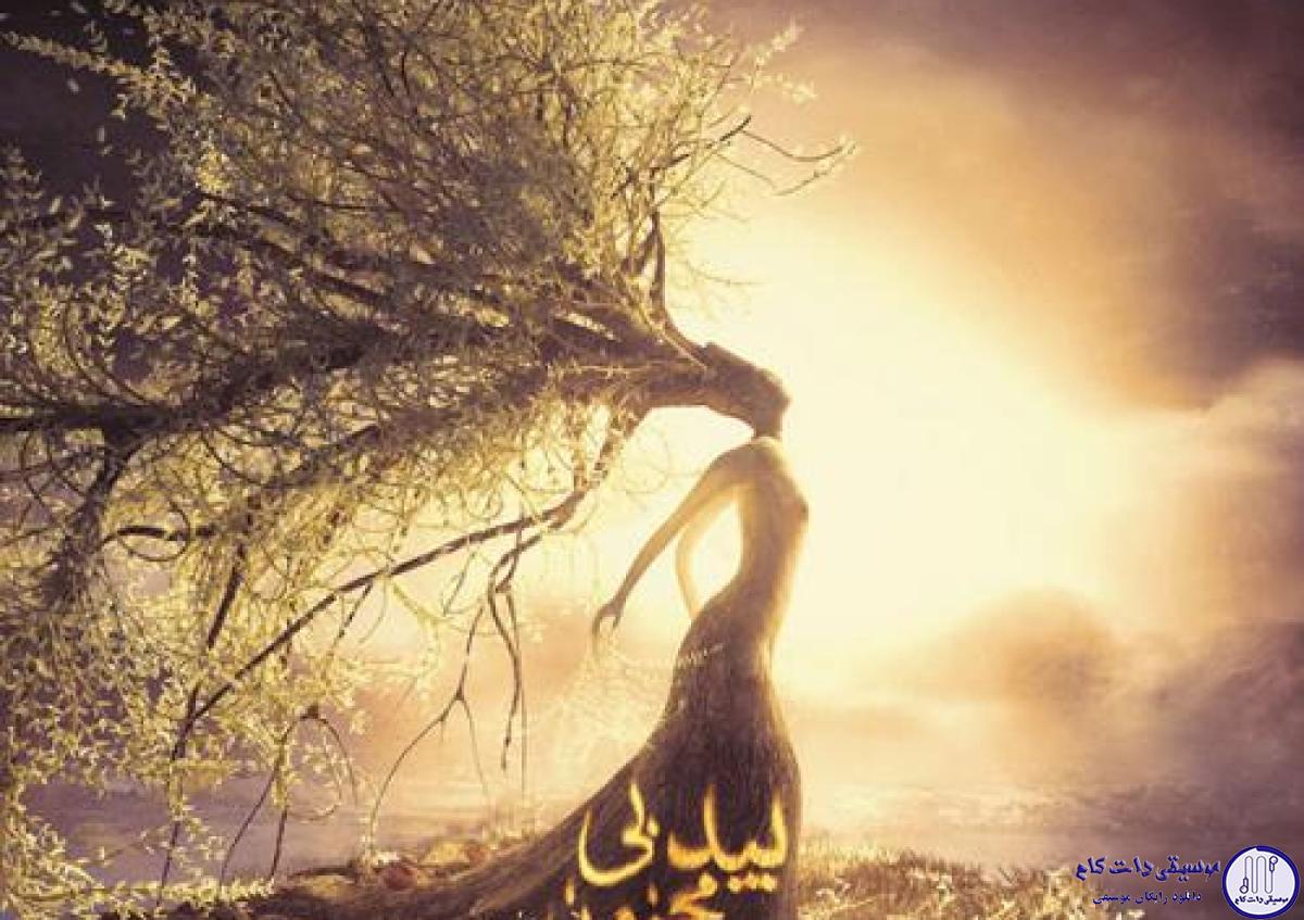 دانلود آهنگ محسن چاوشی به نام بید بی مجنون / من از غل و زنجیر می ترسم