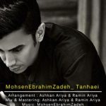 دانلود آهنگ محسن ابراهیم زاده به نام تنهایی / از وقتی تنهام توی این خونم