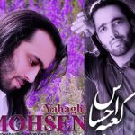دانلود آهنگ محسن یاحقی به نام خواب احساس