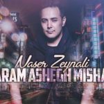 دانلود آهنگ ناصر زینعلی به نام دارم عاشق میشم