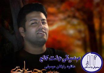 دانلود آهنگ پویا بیاتی به نام عجب پاییزی / دلوم غمگینه غموم سنگینه چه کردی با ای دل بی کینه