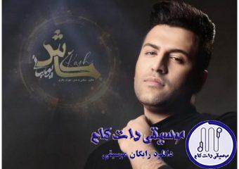 دانلود آهنگ پویا بیاتی به نام کاش / کاش بیای بشه کارو نشونه بگیری دل مارو