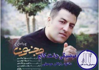 دانلود آهنگ پویا بیاتی به نام مجنون / در دام تو افتادم و در چشم تو