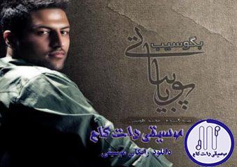 دانلود آهنگ پویا بیاتی به نام تنهایی نرو
