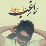 دانلود آهنگ راغب به نام دل دیوونه / دل من به نگات گره خورد یه شب