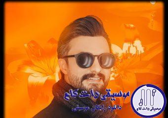 دانلود آهنگ راغب به نام گل نیلوفر / چی شد که یهو نگات