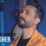 دانلود آهنگ راغب به نام گل سفید آرزو (دلی) / دوست دارم پاشم از خوابو تموم شه دردامو
