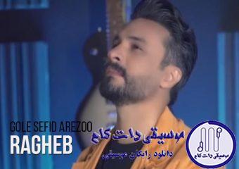 دانلود آهنگ راغب به نام گل سفید آرزو (دلی) / دوست دارم پاشم از خوابو تموم شه دردامو