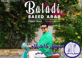 دانلود آهنگ سعید عرب به نام بلدی / حسم عشقه بت بی برو برگرد