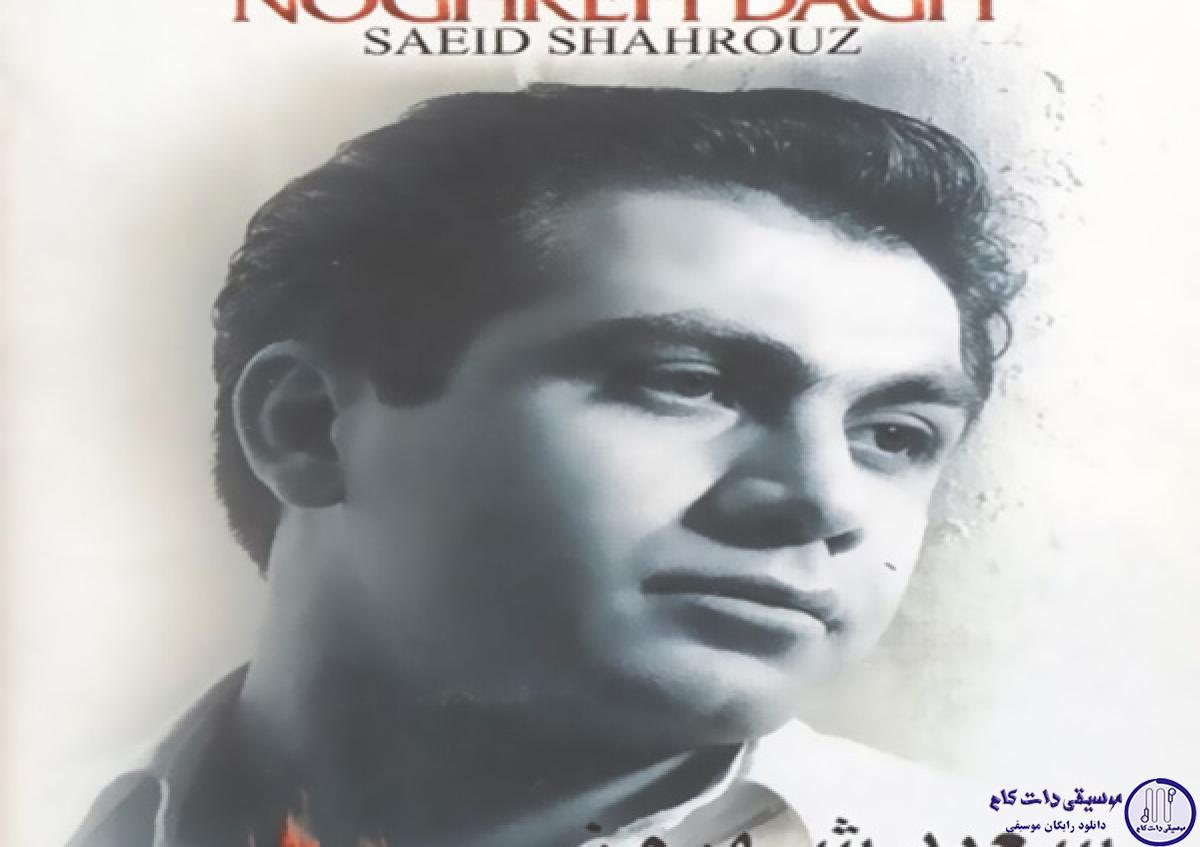 دانلود آهنگ سعید شهروز به نام آواره