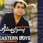دانلود آهنگ سعید شهروز به نام انتظار زمین