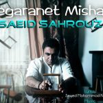 دانلود آهنگ سعید شهروز به نام نگرانت میشم / چقدر با همدیگه جوریم منو تو