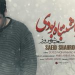 دانلود آهنگ سعید شهروز به نام تو اشتباه بودی / تو با نگاه سرد من با چشای