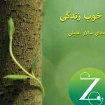 دانلود آهنگ سالار عقیلی به نام حس خوب زندگی / از خانه ات بیرون بیا