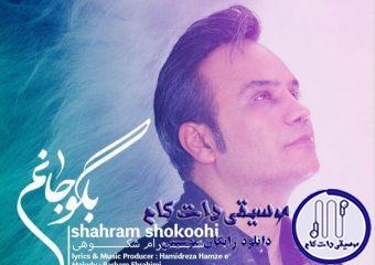 دانلود آهنگ شهرام شکوهی به نام بگو جانم / صدایت میزنم گاهی بگو جانم بگو جانم