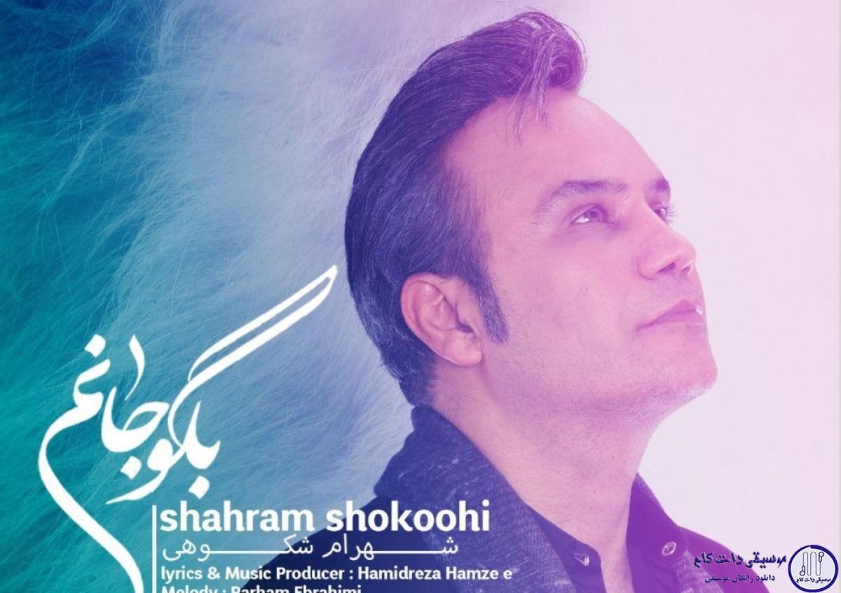 دانلود آهنگ شهرام شکوهی به نام بگو جانم / صدایت میزنم گاهی بگو جانم بگو جانم