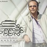 دانلود آهنگ شهرام شکوهی به نام دیوونگی