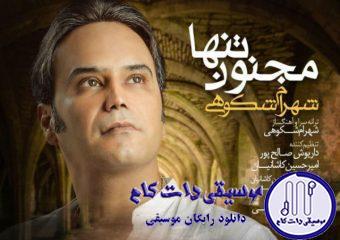 دانلود آهنگ شهرام شکوهی به نام مجنون تنها / از عشقت شده دیوونه
