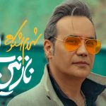 دانلود آهنگ شهرام شکوهی به نام نازنین لیلی / با دلم جنگیدی بر غمم خندیدی