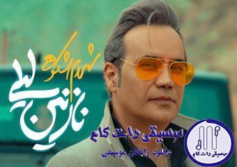 دانلود آهنگ شهرام شکوهی به نام نازنین لیلی / با دلم جنگیدی بر غمم خندیدی