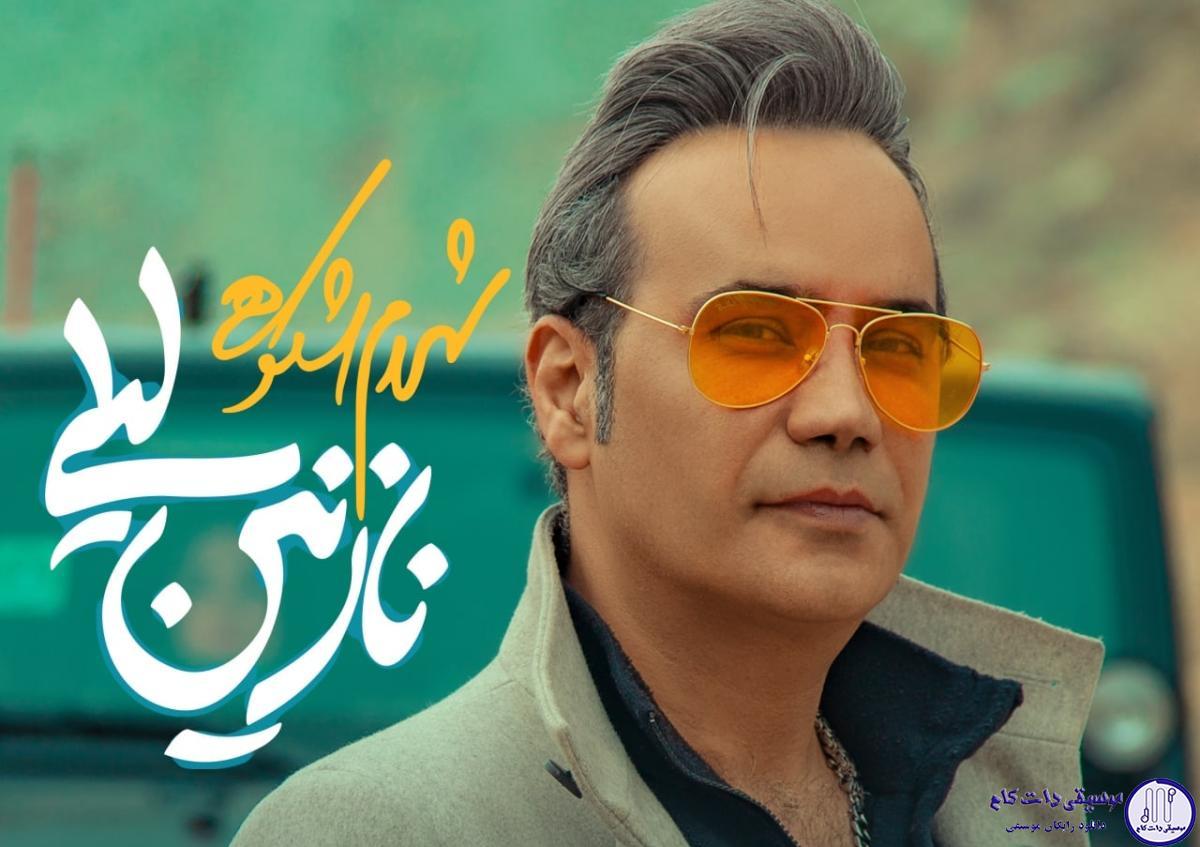 دانلود آهنگ شهرام شکوهی به نام نازنین لیلی / با دلم جنگیدی بر غمم خندیدی