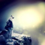 دانلود آهنگ سینا سرلک به نام گرگ